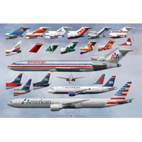 American Airlines Genealogy Artwork
