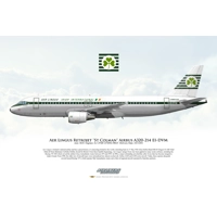 Aer Lingus Retrojet St Colman Air..