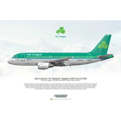 Aer Lingus "St Davnet" Airbus A319-111 EI-EPR