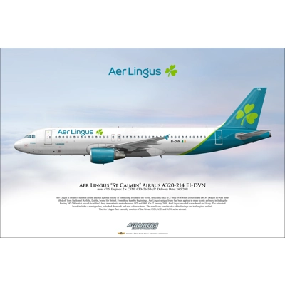 Aer Lingus "St Caimin" Airbus A320-214 EI-DVN