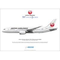 Japan Airlines Boeing 787-8 Dream..