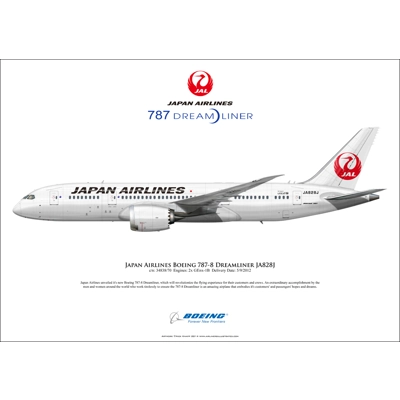 Japan Airlines Boeing 787-8 Dreamliner JA828J