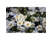 Chamomile, Matrica..