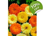 Calendula Mixed seeds