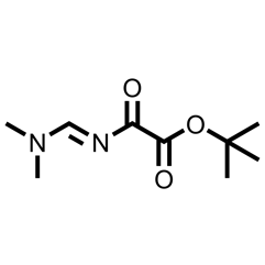 tert-butyl E-2-dimethylaminomethyleneamino-2-oxoacetate