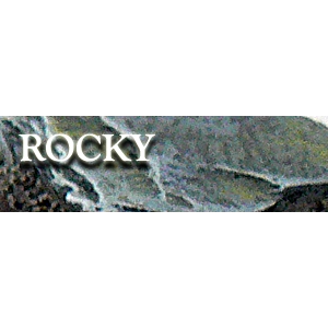 CategoryName
