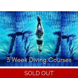 Diving Course 3 weeks