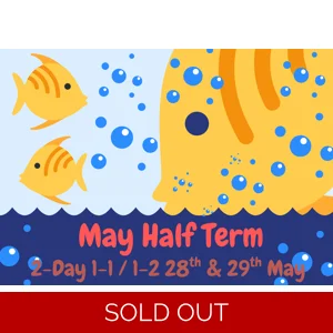 2-Day 1-1/1-2 May Half Term