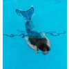 Mermaid Swimming