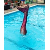 Mermaid Swimming