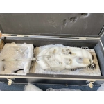 1/16 All Metal Leopard Dual Gyroscope & Weapon Station / Barrel Recoil / Barrel Fire Smoking