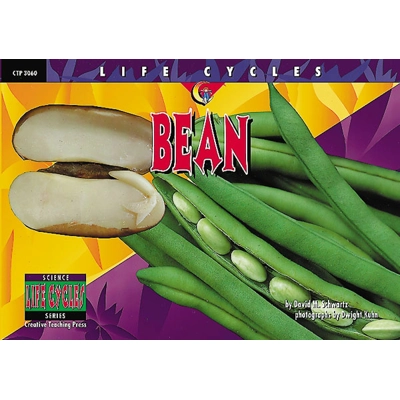 Life Cycles Reader: Bean