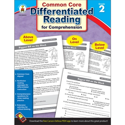 Differentiated Reading For Comprehension Gr. 2 Book