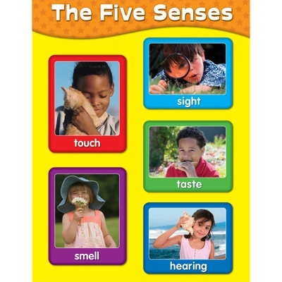 The five Sensens Chart Grade PK-2