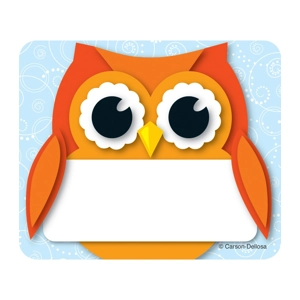 Colorful Owl Name Tags