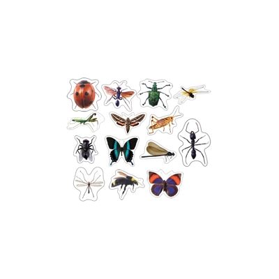 Insects: Photographic Shape Stickers