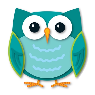 Colorful Owl Two-Sided Decoration