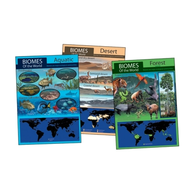 Habitat Bulletin Board Set