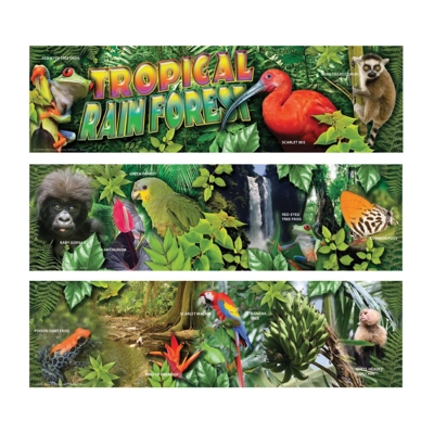 Tropical Rain Forest Mini Bulletin Board Set
