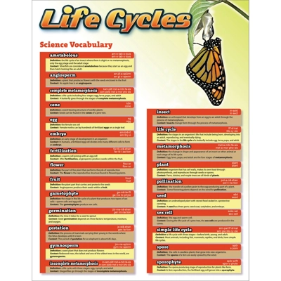 Science Vocabulary: Life Cycles Chartlet