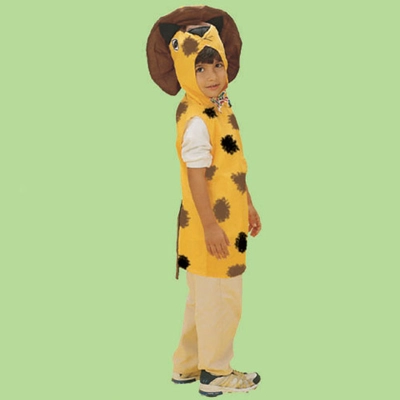 Animal Dressup costume: Lion