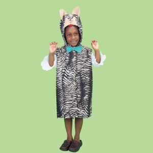 Animal Dressup costume: Cat