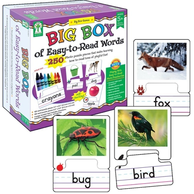 Big Box Of Easy-To-Read Words Game
