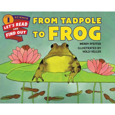 LRAFO L1: From Tadpole To Frog