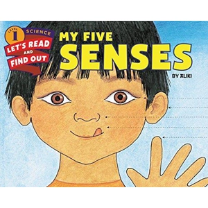 LRAFO L1: My Five Senses