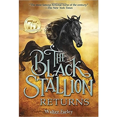 Black Stallion Returns, The