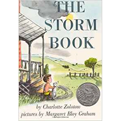 Storm Book, The