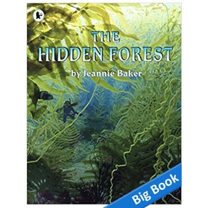 Hidden Forest - Big Book