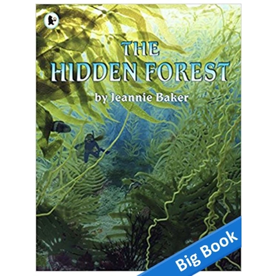 Hidden Forest - Big Book