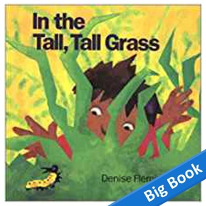 In the Tall Tall Grass - Big..