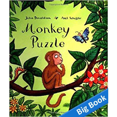 Monkey Puzzle - Big Book