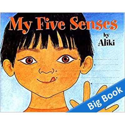 My Five Senses - Big Book