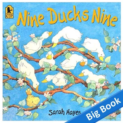 Nine Ducks Nine - Big Book