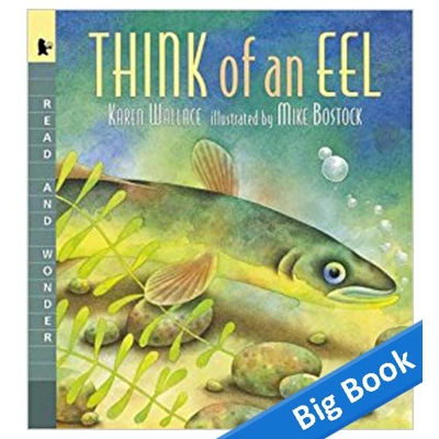 Think of an Eel - Big Book
