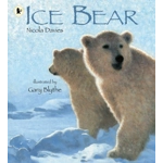 Nature Story Pack Of 10