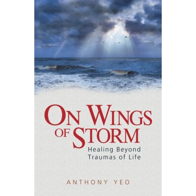 On Wings Of Storm by Anthony Yeo