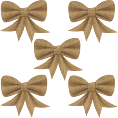 Shabby Chic Bows