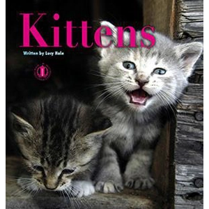 Literacy Tower Foundation: K..