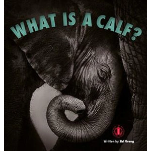 Literacy Tower Foundation: W..