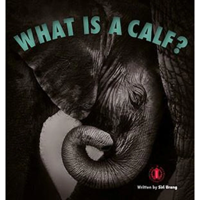 Literacy Tower Foundation: What Is The Calf [Level 5]