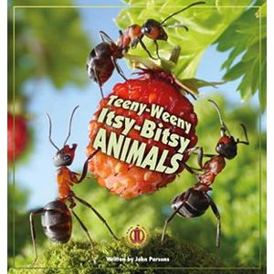 Literacy Tower Level Tw..