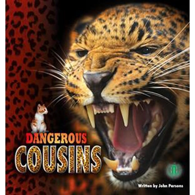 Literacy Tower Level Two: Dangerous Cousins [Level 26]