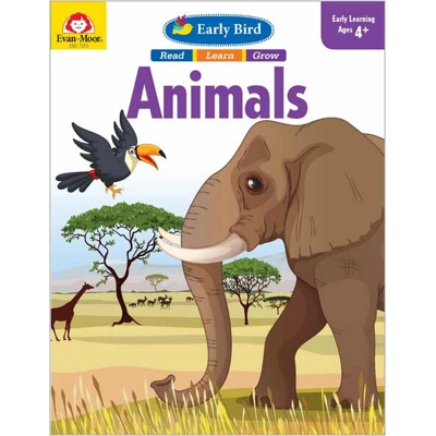 Early Bird: Animals - Activity Book