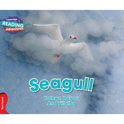 Seagull - Cambridge Reading Adventures