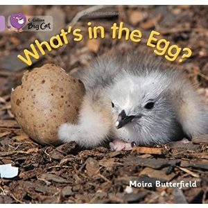 Big Cat 0 Lilac: What's In T..