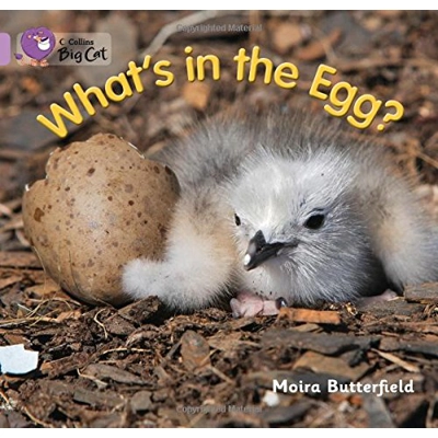 Big Cat 0 Lilac: What's In The Egg